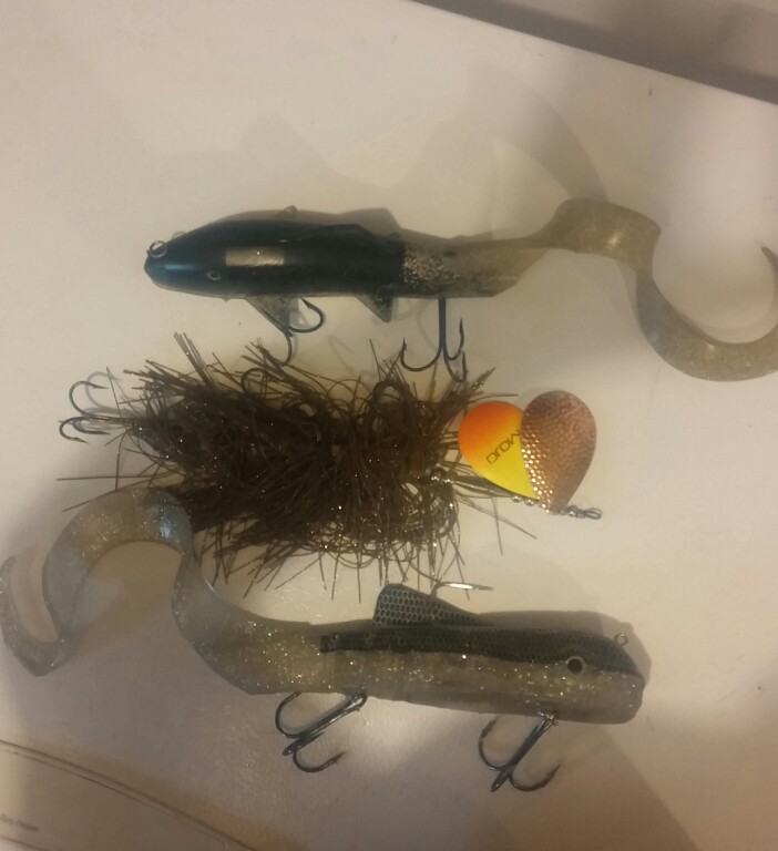 Click to expand / contract the width of this image