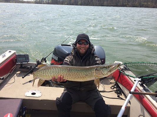 Click to expand / contract the width of this image