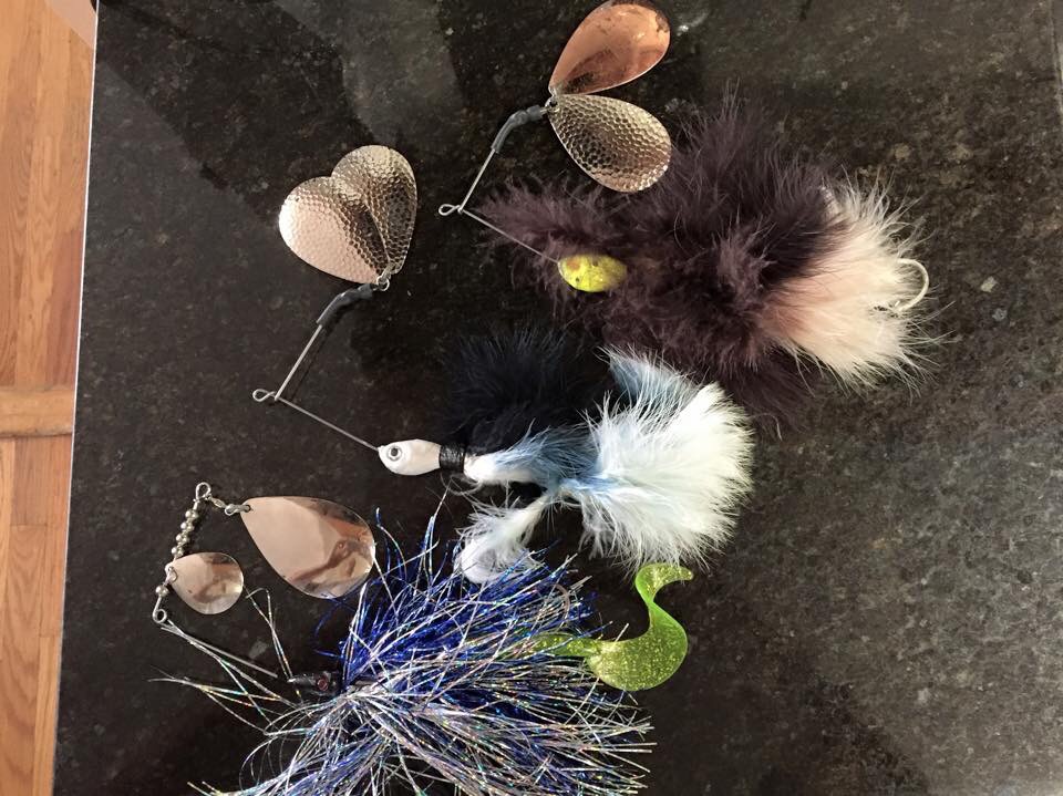 Click to expand / contract the width of this image