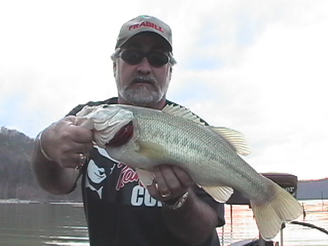 Click to expand / contract the width of this image