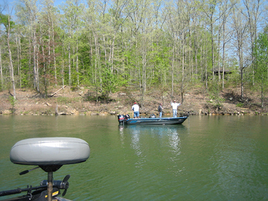 Click to expand / contract the width of this image