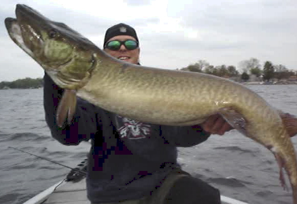 Click to expand / contract the width of this image