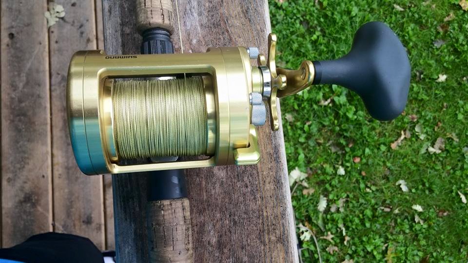 Click to expand / contract the width of this image