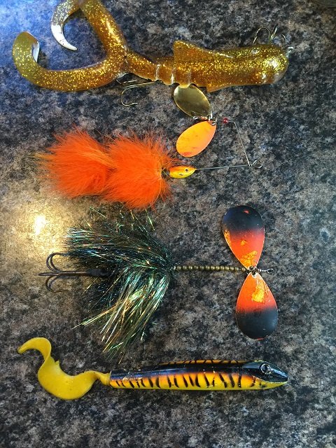 Click to expand / contract the width of this image