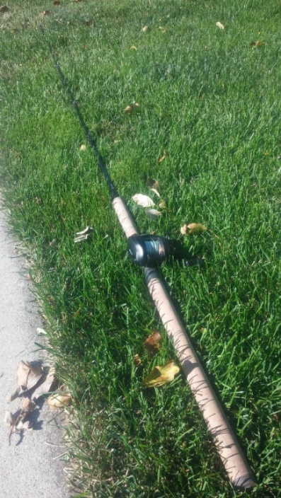 Click to expand / contract the width of this image