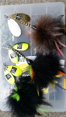 Click to expand / contract the width of this image