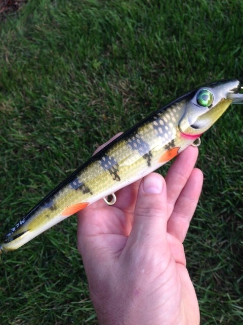 Click to expand / contract the width of this image