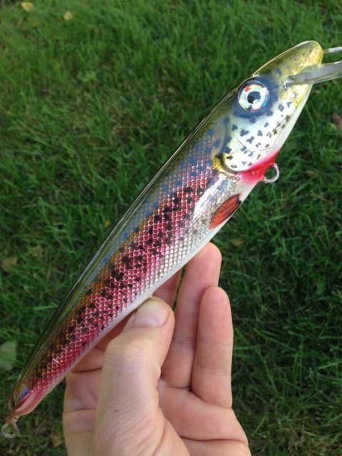 Click to expand / contract the width of this image