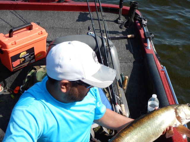 Click to expand / contract the width of this image