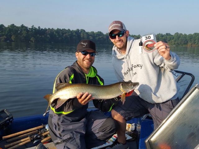 Click to expand / contract the width of this image