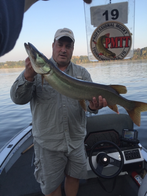 Click to expand / contract the width of this image