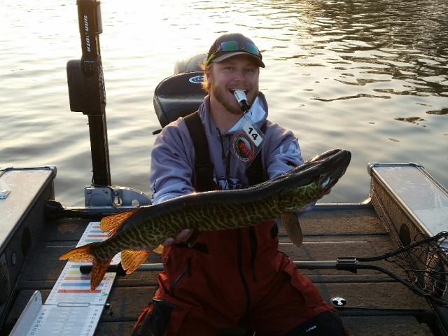 Click to expand / contract the width of this image