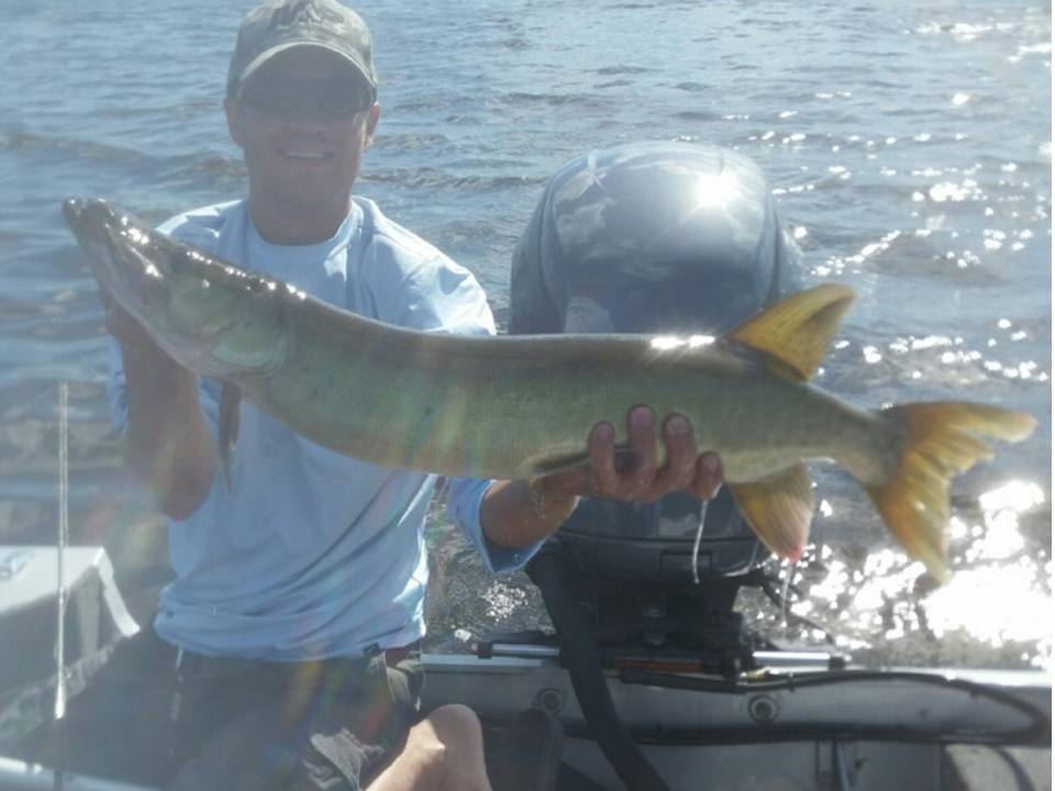 Click to expand / contract the width of this image