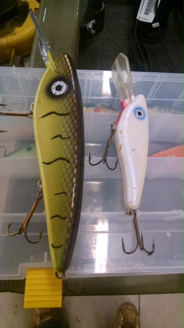 Click to expand / contract the width of this image