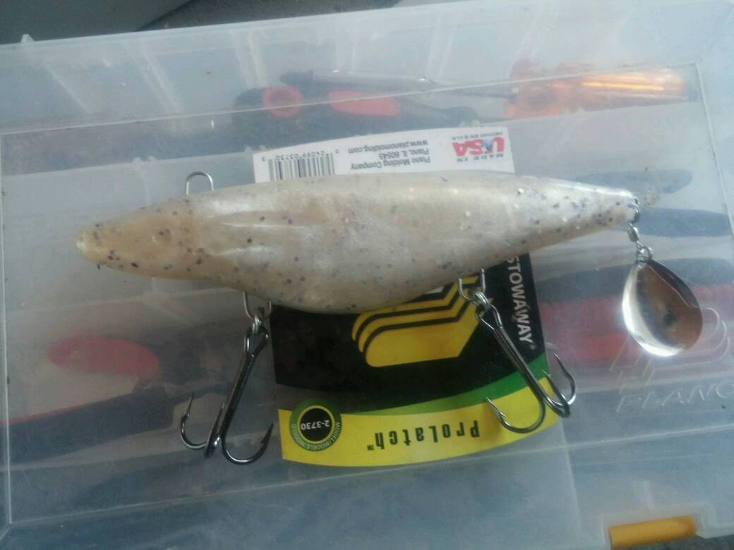 Click to expand / contract the width of this image