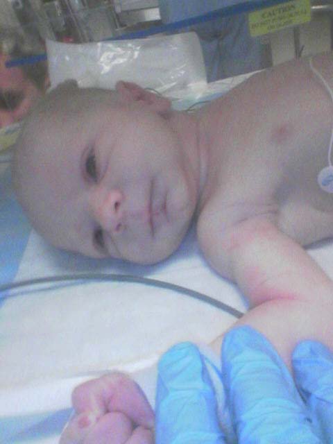 Click to expand / contract the width of this image