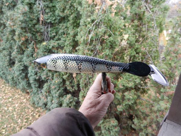 Click to expand / contract the width of this image