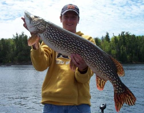 Click to expand / contract the width of this image