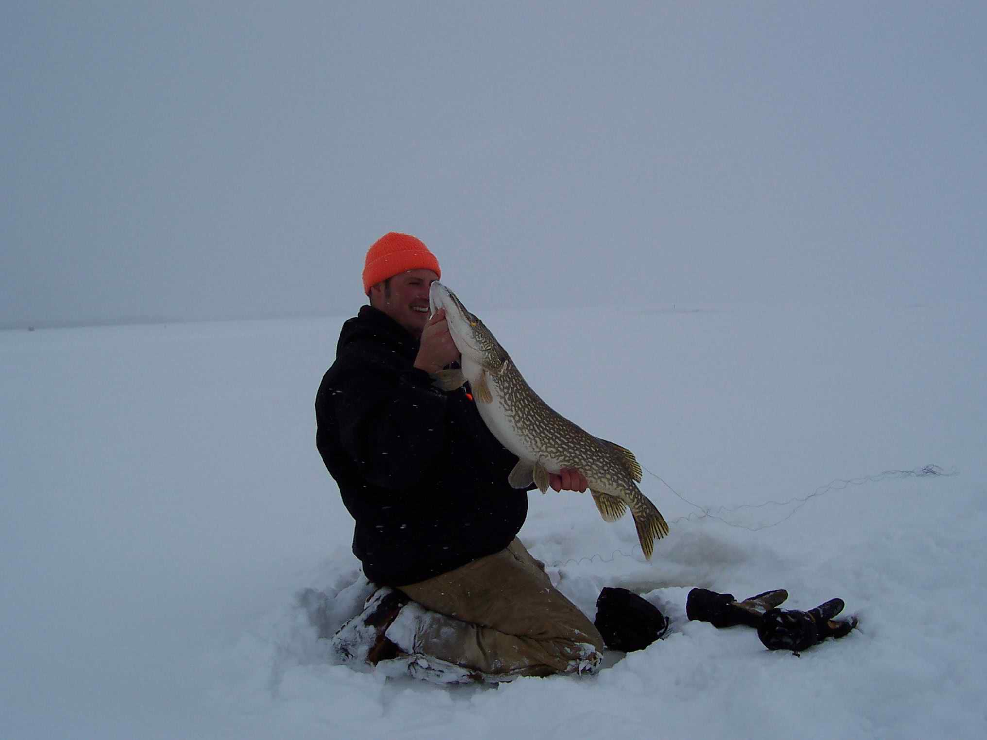 Click to expand / contract the width of this image