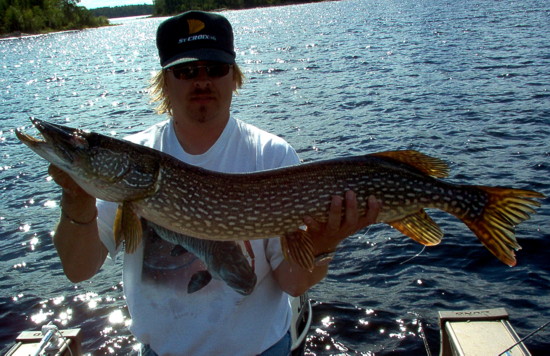 Click to expand / contract the width of this image