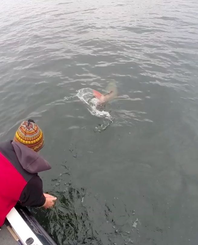 Click to expand / contract the width of this image