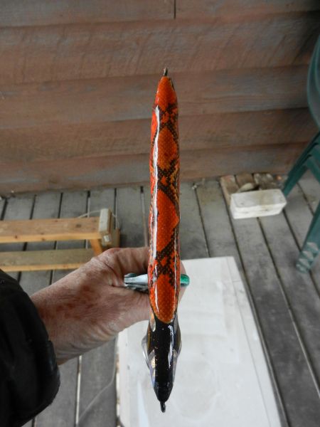 Click to expand / contract the width of this image