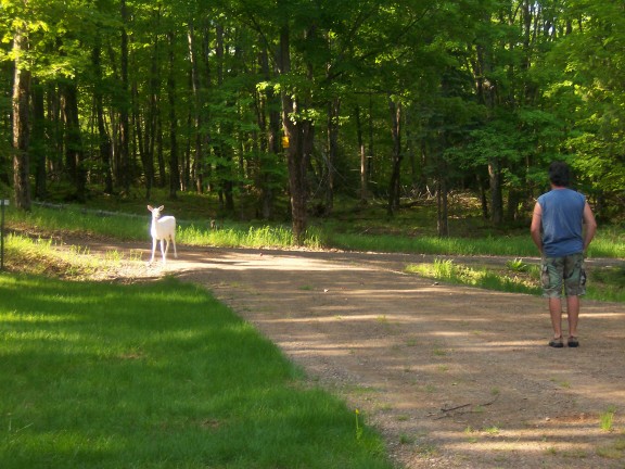 Click to expand / contract the width of this image