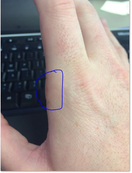 Click to expand / contract the width of this image