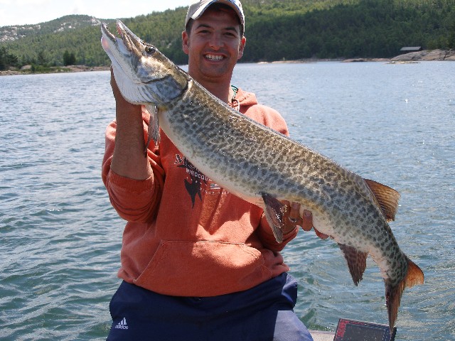 Click to expand / contract the width of this image