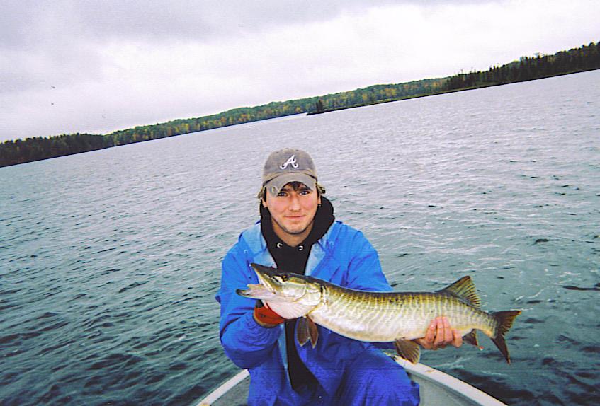 Click to expand / contract the width of this image