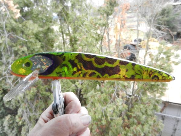 Click to expand / contract the width of this image