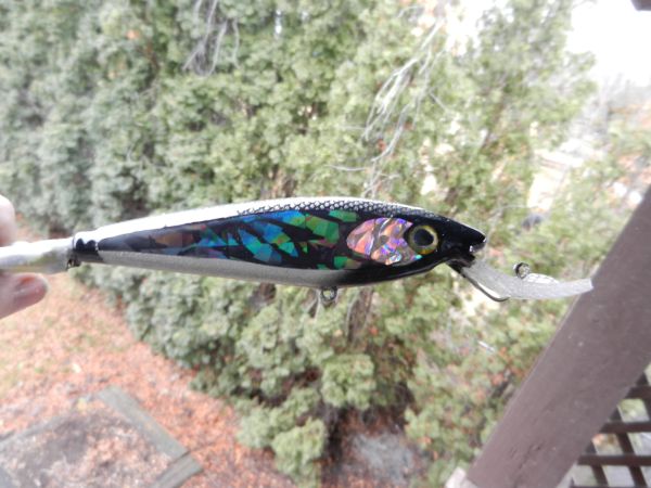 Click to expand / contract the width of this image