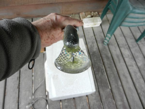 Click to expand / contract the width of this image