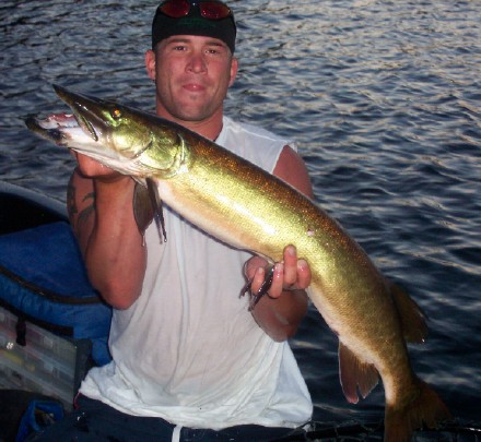 Click to expand / contract the width of this image