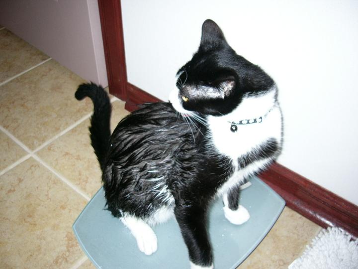 Click to expand / contract the width of this image