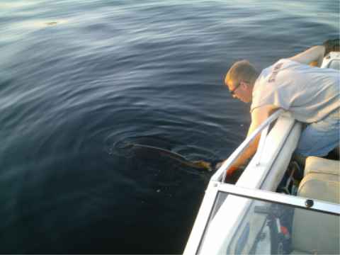 Click to expand / contract the width of this image