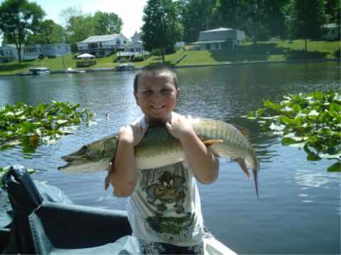 Click to expand / contract the width of this image