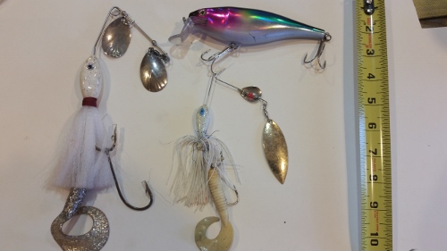 Click to expand / contract the width of this image