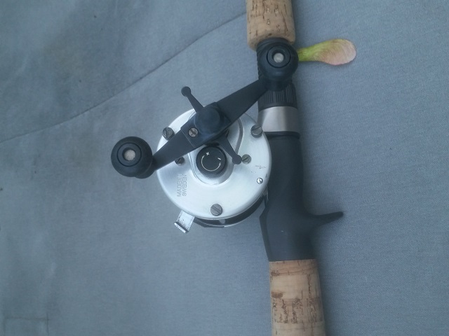 Click to expand / contract the width of this image