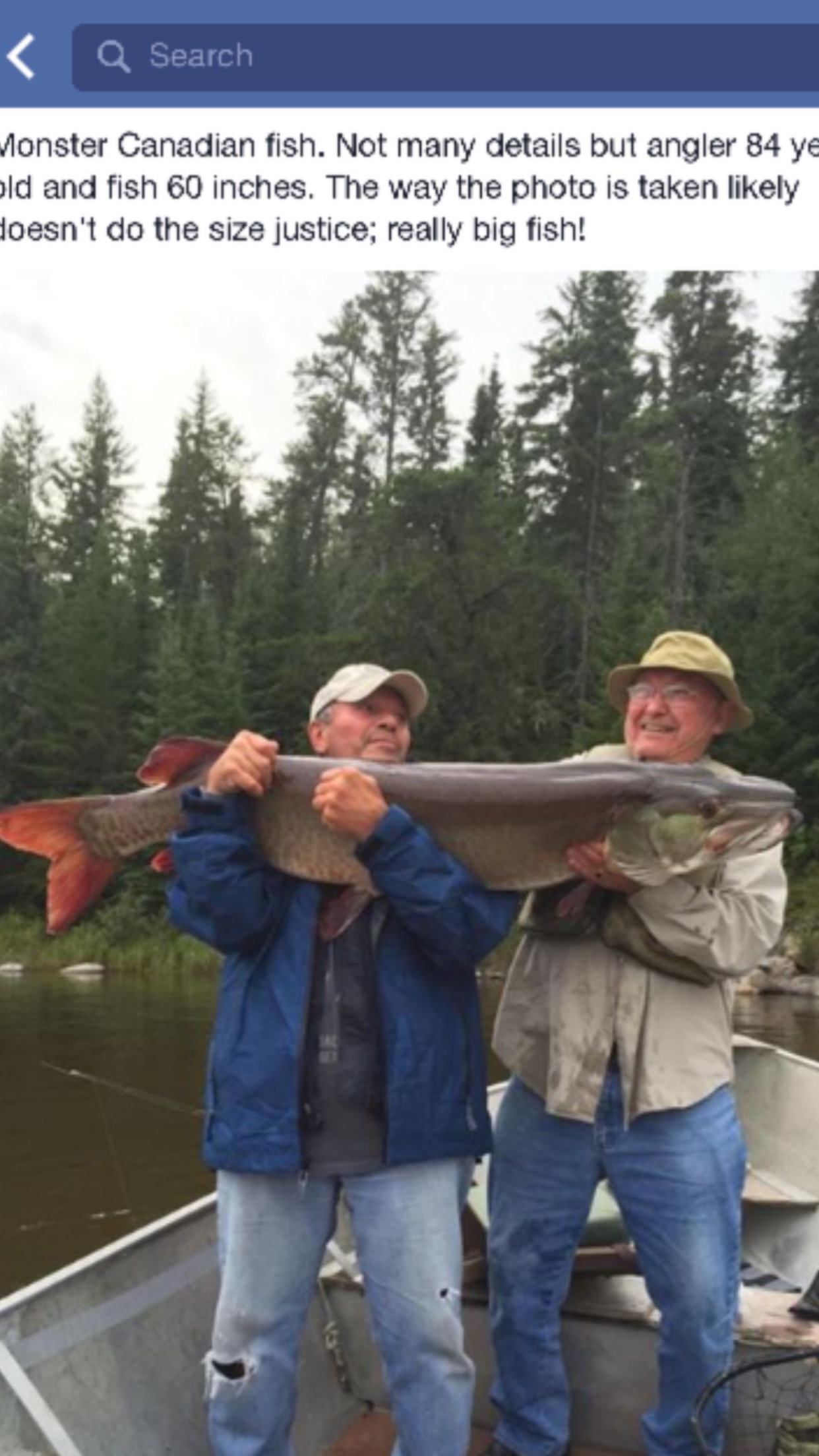 Click to expand / contract the width of this image