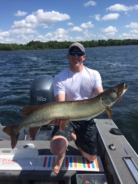 Click to expand / contract the width of this image