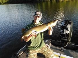 Click to expand / contract the width of this image