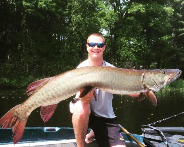 Click to expand / contract the width of this image