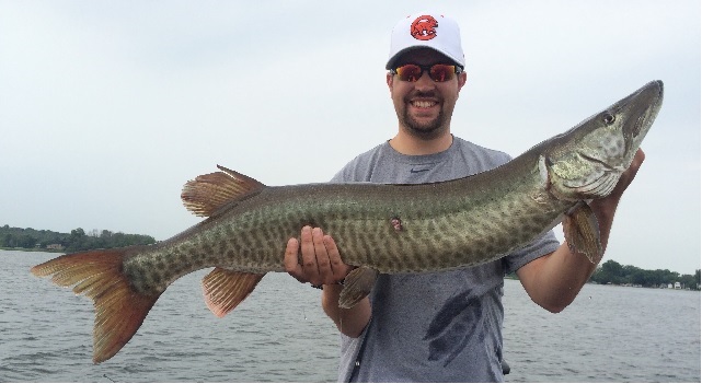 Click to expand / contract the width of this image