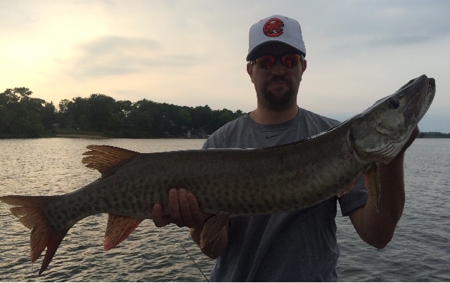 Click to expand / contract the width of this image