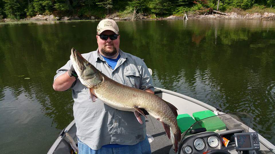 Click to expand / contract the width of this image