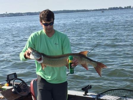 Click to expand / contract the width of this image