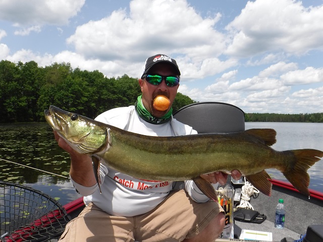 Click to expand / contract the width of this image