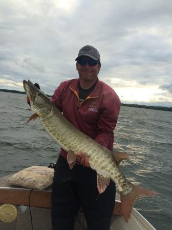 Click to expand / contract the width of this image