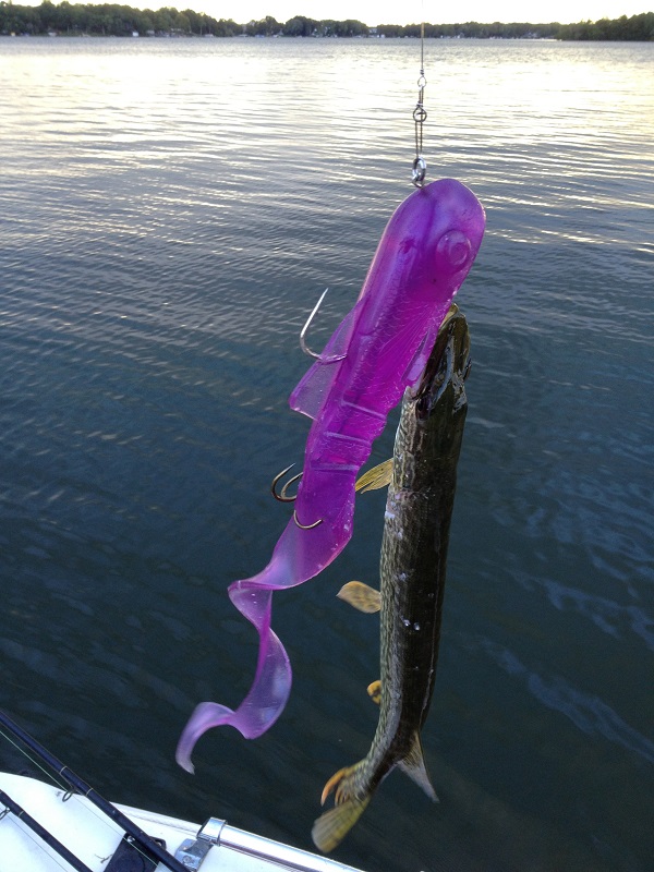 Click to expand / contract the width of this image